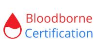 Bloodborne Certification image 1